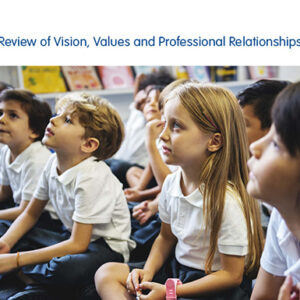Review of Vision, Values and Professional Relationships