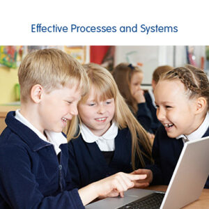 Effective Processes and Systems